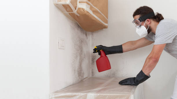 Attic Mold Remediation treatment on roof deck in Lavallette
